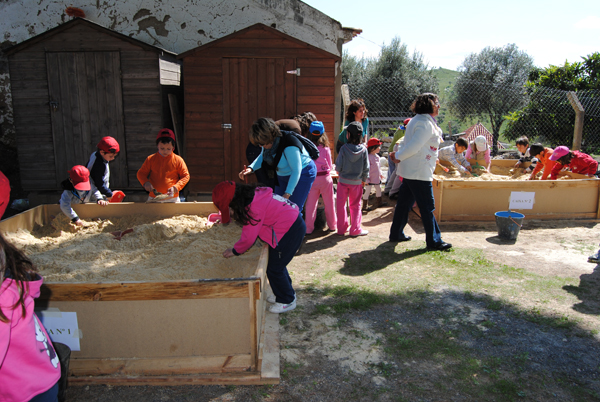 Atividades Educativas