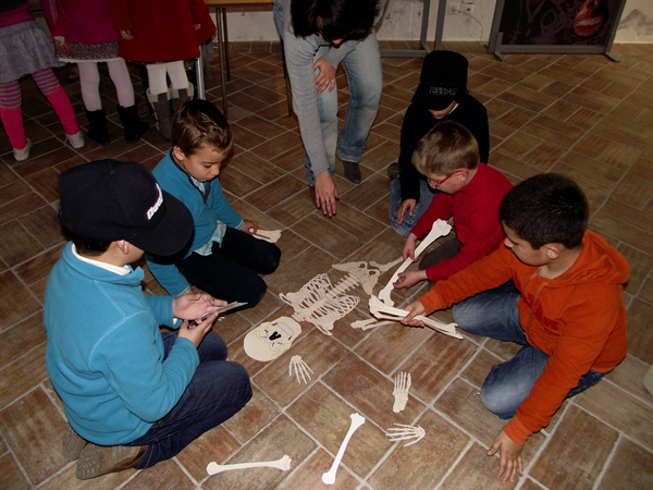 Atividades Educativas