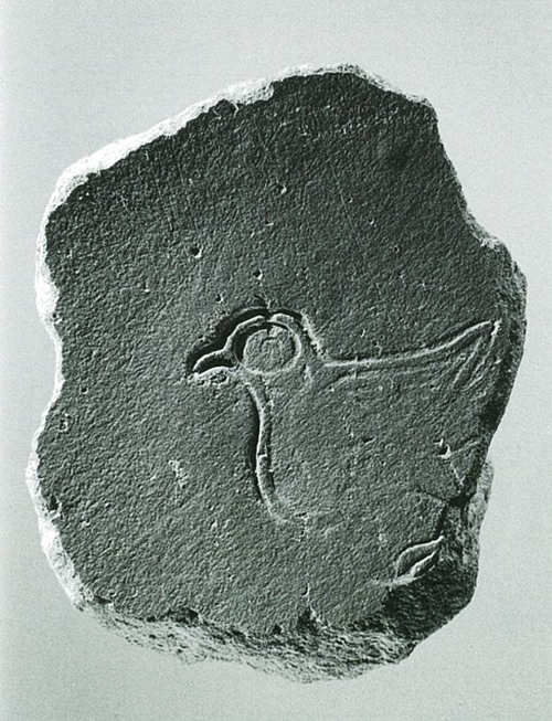 Terra sigillata fragment 