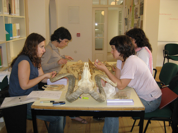 Curso de Zooarqueologia