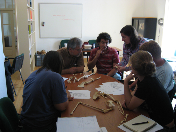 Curso de Zooarqueologia