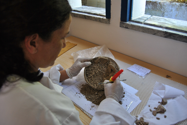 Gabinete de Cerâmica