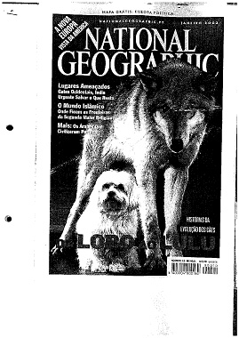 Peças de um puzzle milenar