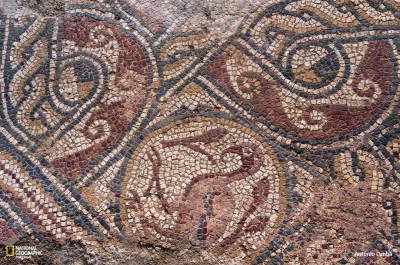 “Novo mosaico de Mértola”