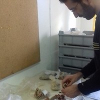 Vincenzo Soría - Investigador UNIARQ/ bolseiro FCT