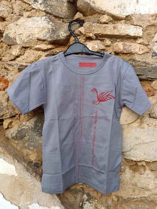 T-shirt Cinza claro