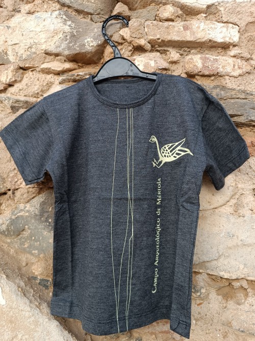 T-shirt cinzento escuro