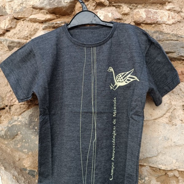 T-shirt cinzento escuro