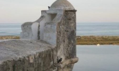 Edital Concurso para atribuição de Bolsas de Investigação