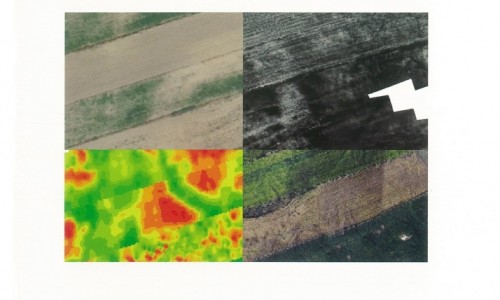 Livro do mês de março de 2017