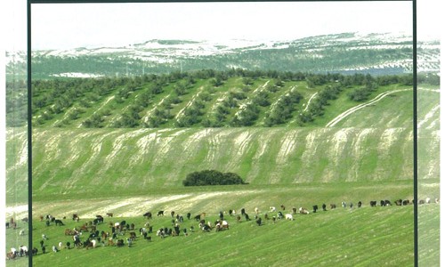 Livro do mês de setembro de 2013