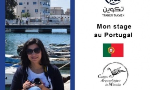 Estágio no âmbito do ciclo piloto euro-tunisino - Tfanen Takwin