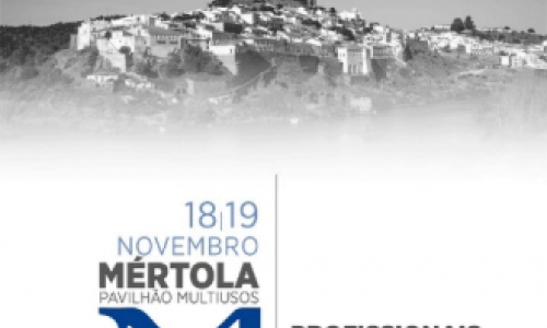 Encontros de Outono do ICOM Portugal_Mértola 18 e 19 de novembro