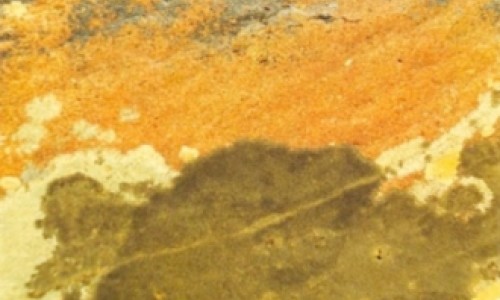 Exhibition: "Variations on a theme - the Vascão brook", by Orlando José