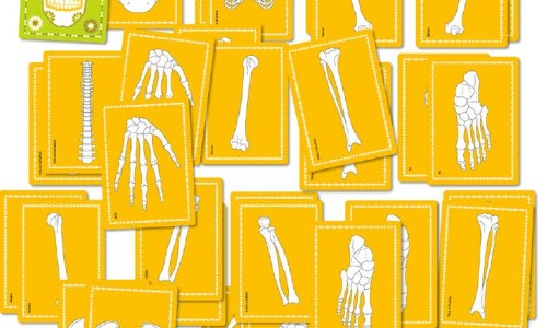 Ossos : jogo de memória